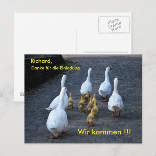 (WIR)コメン ポストカード (正面/裏面)