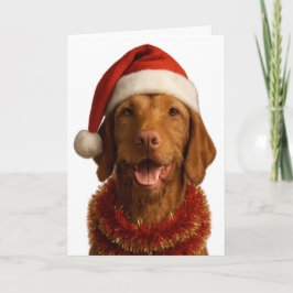 Wire haired Vizsla in a Santa hat Christmas card カード
