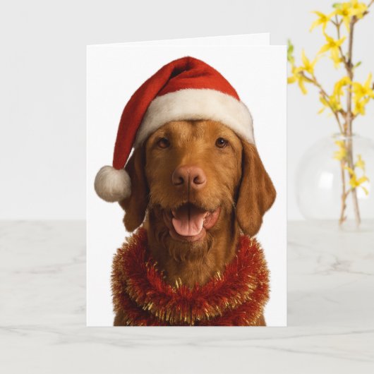 Wire haired Vizsla in a Santa hat Christmas card カード (黄色い花)