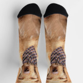 Wirefold Vizsla'絵画s – かわいいオリジナルドッグアート ソックス (上部)