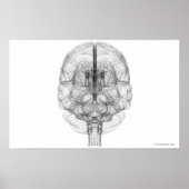 Wireframe of the brain ポスター (正面)