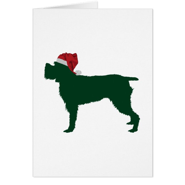 Wirehaired指すことGriffon (正面)