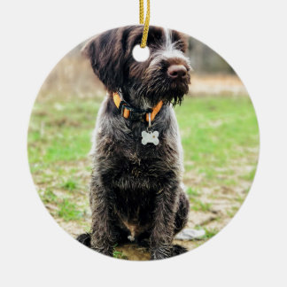 Wirehaired指すGriffon子犬 セラミックオーナメント