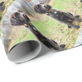 Wirehaired指すGriffon子犬 ラッピングペーパー (ロールコーナー)