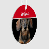 Wirehaired Dachshund with Name and Photo Christmas オーナメント (正面)