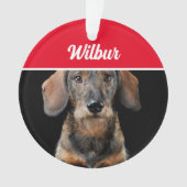 Wirehaired Dachshund with Name and Photo Christmas オーナメント (正面)