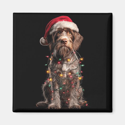 Wirehaired Inting Griffon Christmas Graphics Dog L マグネット (正面)