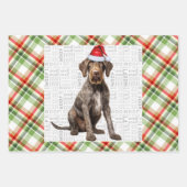 Wirehaired Pointer Christmas Dog Red Green Plaid ラッピングペーパーシート (正面)