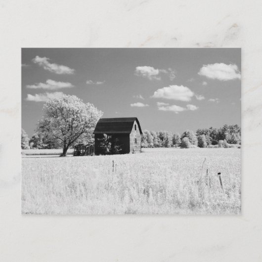 Wisconsin Barn Photo Reprint ポストカード (正面)