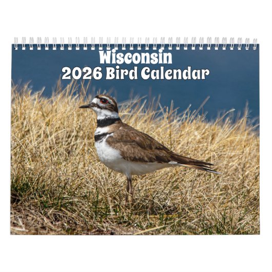Wisconsin Birds Calendar 2026 カレンダー (カバー)