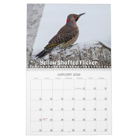 Wisconsin Birds Calendar 2026 カレンダー (1月 2026)