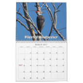 Wisconsin Birds Calendar 2026 カレンダー (3月 2027)