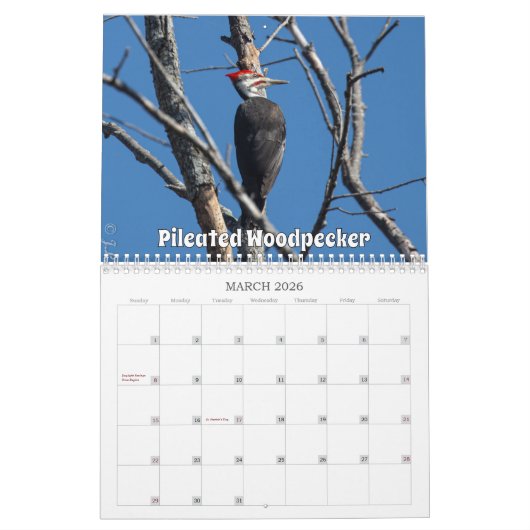 Wisconsin Birds Calendar 2026 カレンダー (3月 2026)