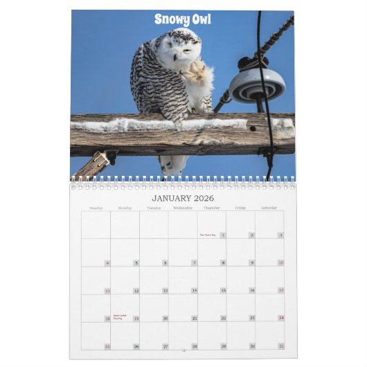 Wisconsin Birds Calendar 2026 カレンダー (1月 2026)