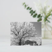 Wisconsin Farm Postcard ポストカード (スタンド正面)