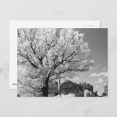 Wisconsin Farm Postcard ポストカード (正面/裏面)