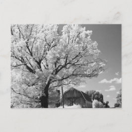 Wisconsin Farm Postcard ポストカード