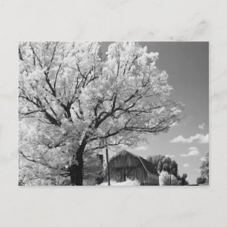 Wisconsin Farm Postcard ポストカード