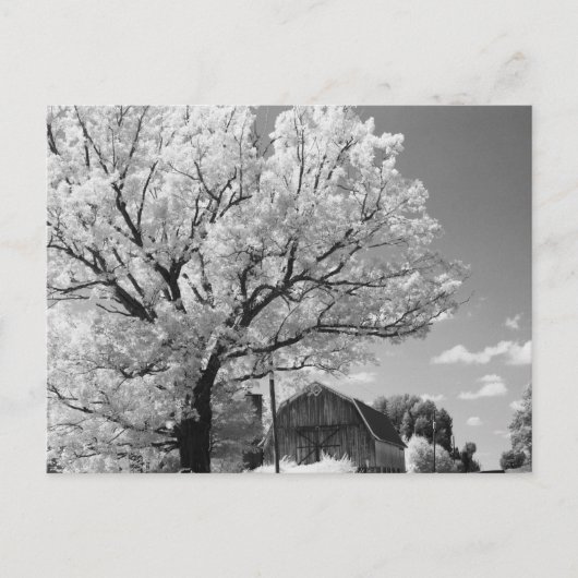 Wisconsin Farm Postcard ポストカード (正面)