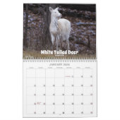 Wisconsin Wildlife Calendar 2026 カレンダー (1月 2026)