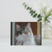 Wisdomはがきを検索 ポストカード (スタンド正面)