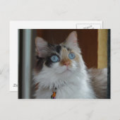 Wisdomはがきを検索 ポストカード (正面/裏面)