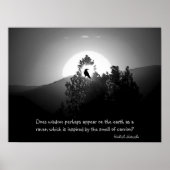 Wisdom As A Raven ポスター (正面)