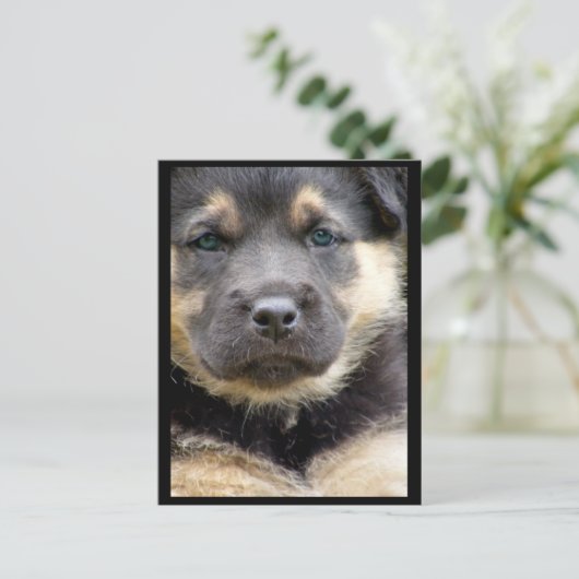 Wise Eyesはがき ポストカード (スタンド正面)