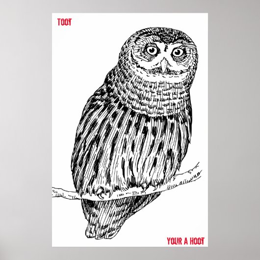 Wise Old Owl Poster ポスター (正面)