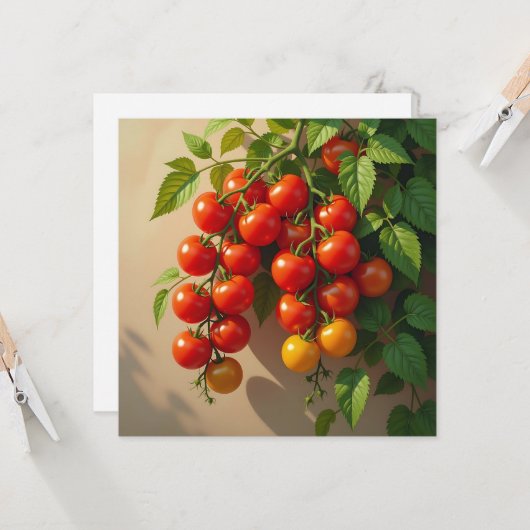 Wish a Friend a Happy Summer カード (正面/裏面インサイチュ)