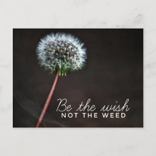 Wish Post Card ポストカード