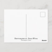 Wish Post Card ポストカード (裏面)