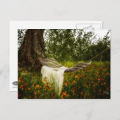 Wish You Was Here 140629ポストカード ポストカード (正面/裏面)