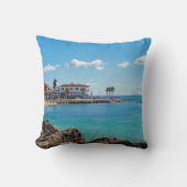 Wish you was Here Cossion クッション (正面)