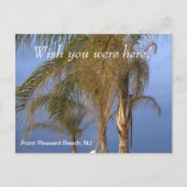 Wish you wereポイントプレザントビーチNJ ポストカード (正面)