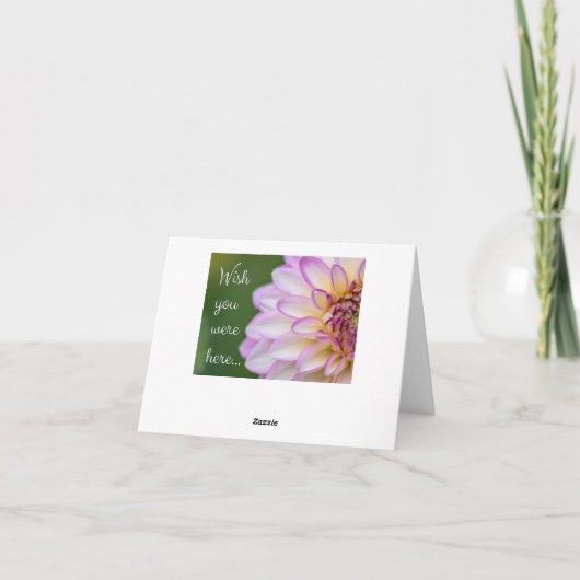 Wish you were here! カード (裏面)