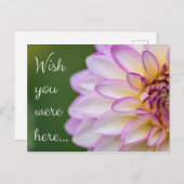 Wish you were here... ポストカード (正面/裏面)