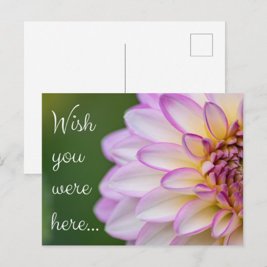 Wish you were here... ポストカード (正面/裏面)