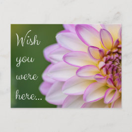 Wish you were here... ポストカード