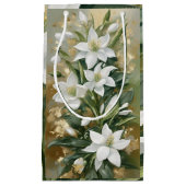 Wishing You Joy & Success, 2025年新年抱き枕 スモールペーパーバッグ (正面)