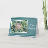 Wishing You the Most Wonderful - Birthday Card カード (正面)