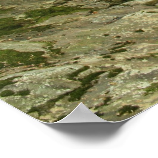 Wispering Falls ポスター (角)