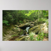 Wispering Falls ポスター (正面)