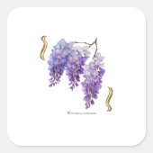 Wisteria Sinensis  スクエアシール (正面)