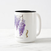 Wisteria Sinensis  ツートーンマグカップ (正面右)