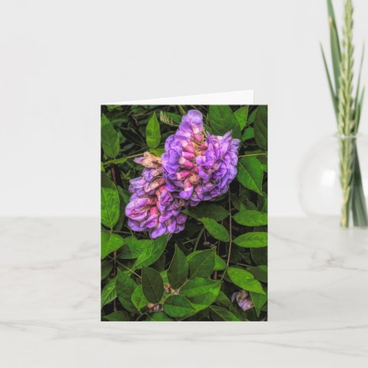 Wisteria @ Stenton House Museum & Garden Notecard サンキューカード (正面)