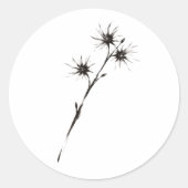 Witch Hazel Inspired Ink Botanical Art on  ラウンドシール (正面)