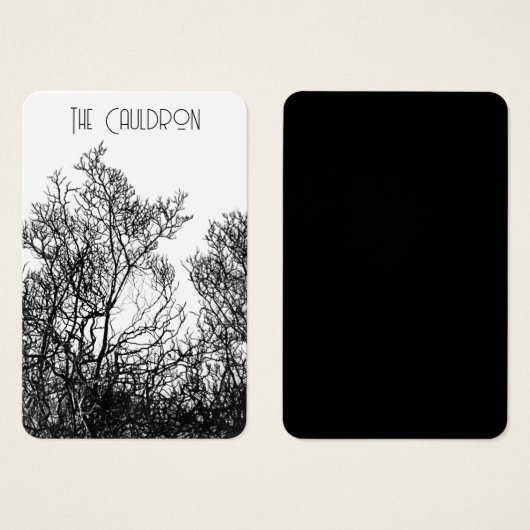 Witchy Black and White Earring Display (正面&裏面)