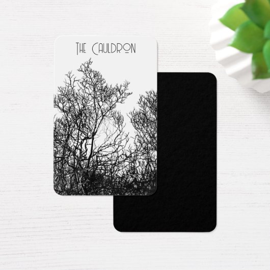 Witchy Black and White Earring Display (デスク)