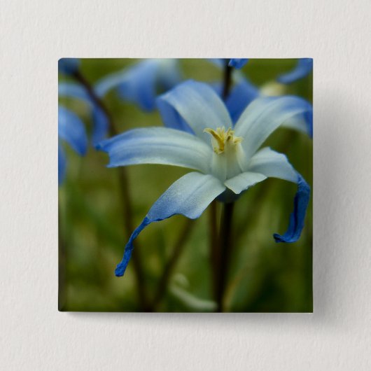 witherly 缶バッジ (正面)